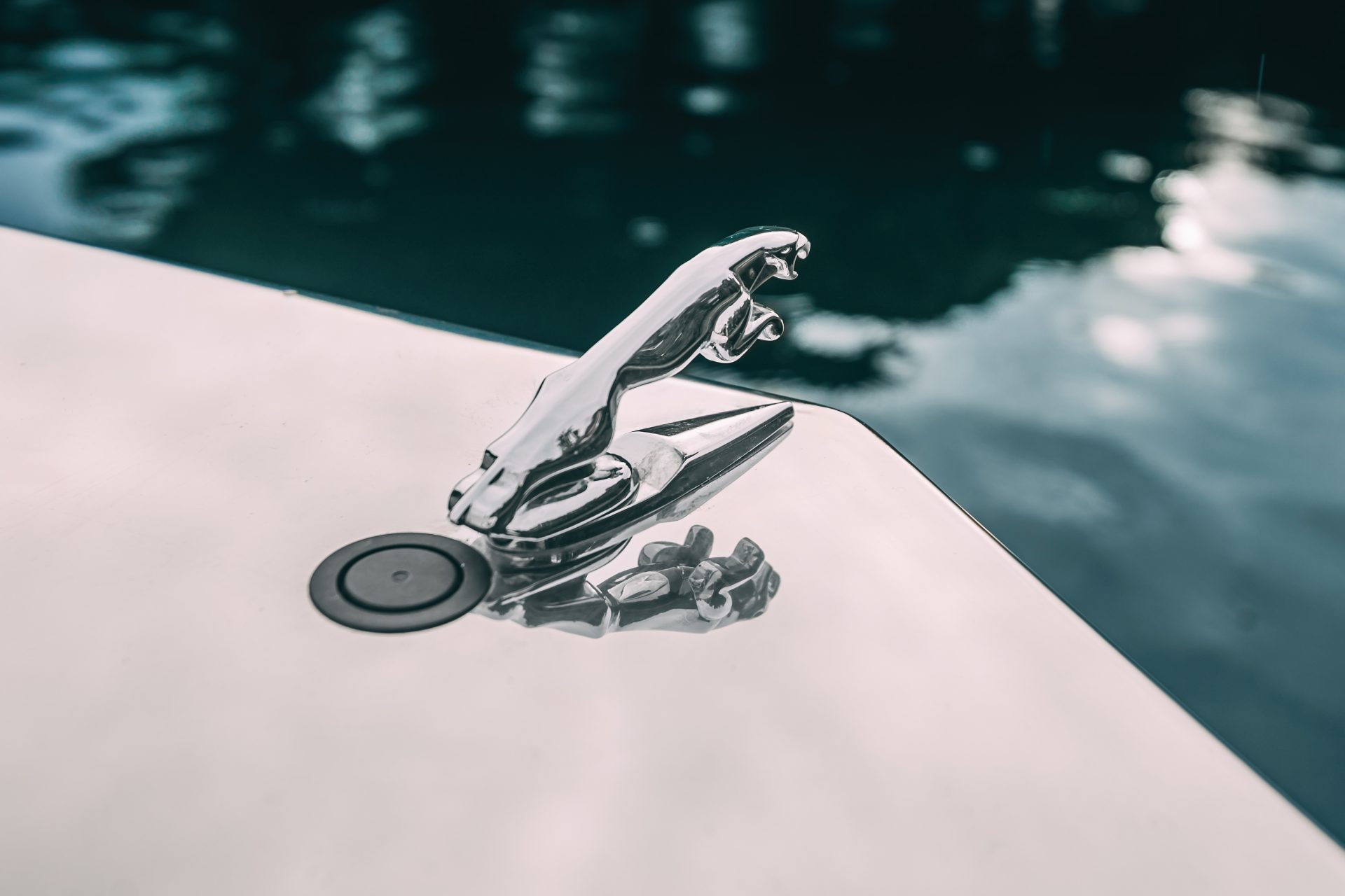 Катер Ягуар (скоростной катер СПб)